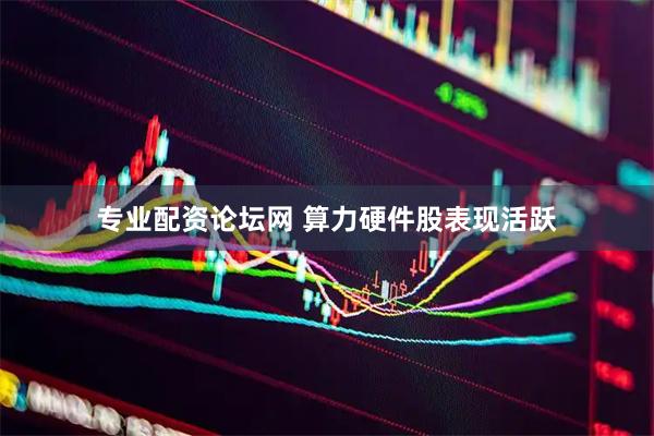 专业配资论坛网 算力硬件股表现活跃