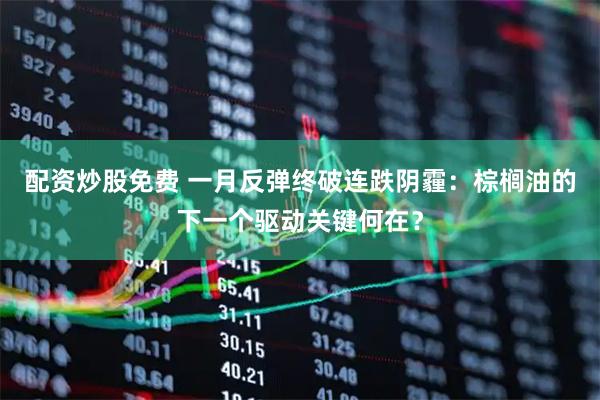 配资炒股免费 一月反弹终破连跌阴霾：棕榈油的下一个驱动关键何在？